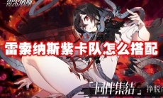 雷索纳斯紫卡队怎么搭配