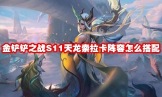 金铲铲之战S11天龙索拉卡阵容怎么搭配