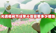 光遇植树节绿芽斗篷需要多少蜡烛