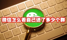 微信怎么看自己进了多少个群