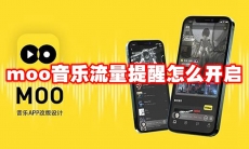 moo音乐流量提醒怎么开启