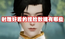 射雕好看的捏脸数据有哪些