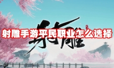 射雕手游平民职业怎么选择