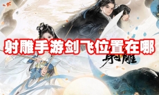 射雕手游剑飞位置在哪