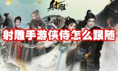 射雕手游侠侍怎么跟随