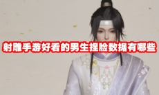 射雕手游好看的男生捏脸数据有哪些