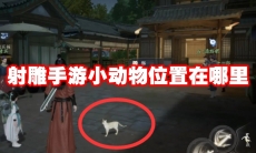 射雕手游小动物位置在哪里
