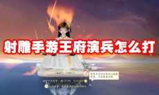 射雕手游王府演兵怎么打