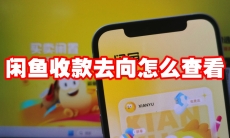 闲鱼收款去向怎么查看
