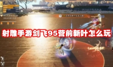 射雕手游剑飞95营前新叶怎么玩
