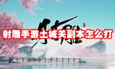 射雕手游土城关副本怎么打