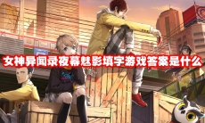 女神异闻录夜幕魅影填字游戏答案是什么