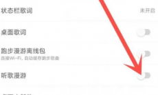 网易云私人漫游模式怎么关闭