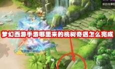 梦幻西游手游哪里来的桃树奇遇怎么完成