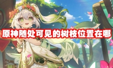 原神随处可见的树枝位置在哪