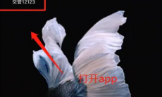 交管12123恢复驾驶资格业务怎么办理