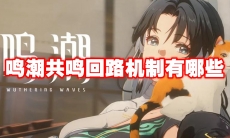 鸣潮共鸣回路机制有哪些