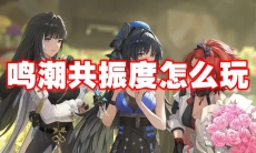 鸣潮共振度怎么玩