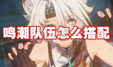 鸣潮队伍怎么搭配