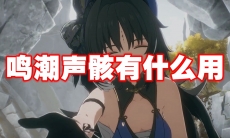 鸣潮声骸有什么用