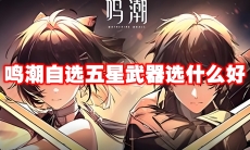 鸣潮自选五星武器选什么好