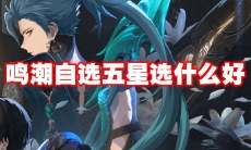 鸣潮自选五星选什么好