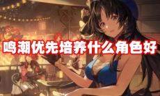 鸣潮优先培养什么角色好
