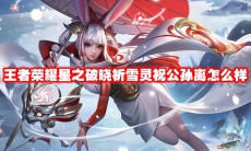 王者荣耀星之破晓祈雪灵祝公孙离怎么样