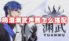 鸣潮渊武声骸怎么搭配