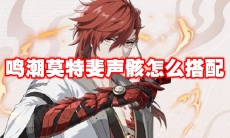 鸣潮莫特斐声骸怎么搭配