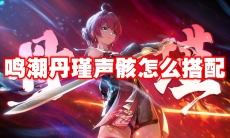 鸣潮丹瑾声骸怎么搭配