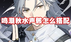 鸣潮秋水声骸怎么搭配