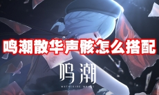 鸣潮散华声骸怎么搭配