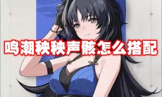 鸣潮秧秧声骸怎么搭配
