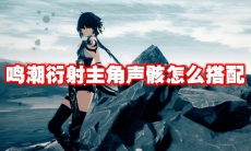 鸣潮衍射主角声骸怎么搭配