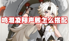 鸣潮凌阳声骸怎么搭配