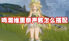 鸣潮维里奈声骸怎么搭配