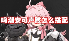 鸣潮安可声骸怎么搭配