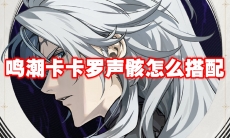 鸣潮卡卡罗声骸怎么搭配