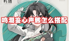 鸣潮鉴心声骸怎么搭配