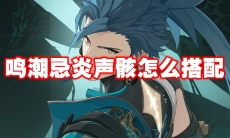 鸣潮忌炎声骸怎么搭配