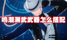 鸣潮渊武武器怎么搭配