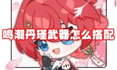 鸣潮丹瑾武器怎么搭配