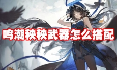 鸣潮秧秧武器怎么搭配