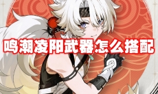 鸣潮凌阳武器怎么搭配