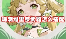 鸣潮维里奈武器怎么搭配