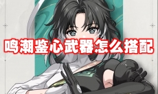 鸣潮鉴心武器怎么搭配