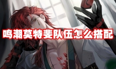 鸣潮莫特斐队伍怎么搭配