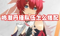 鸣潮丹瑾队伍怎么搭配