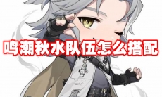 鸣潮秋水队伍怎么搭配